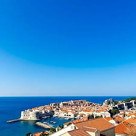 Bonavista دوبروفينك